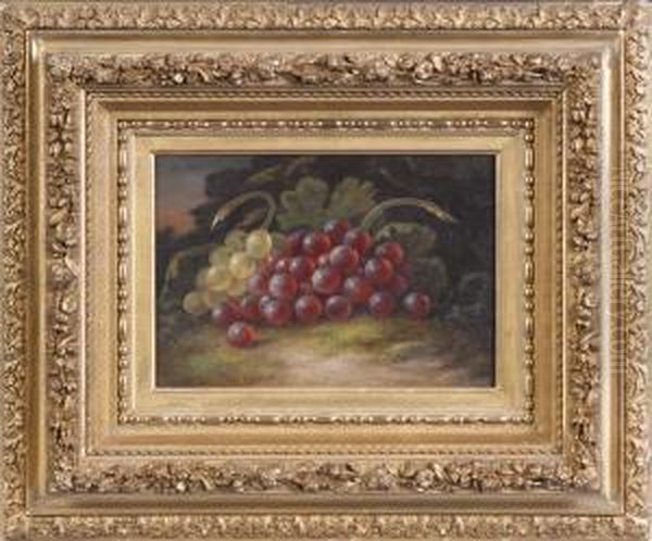 Still Life Of Grapes - view 1