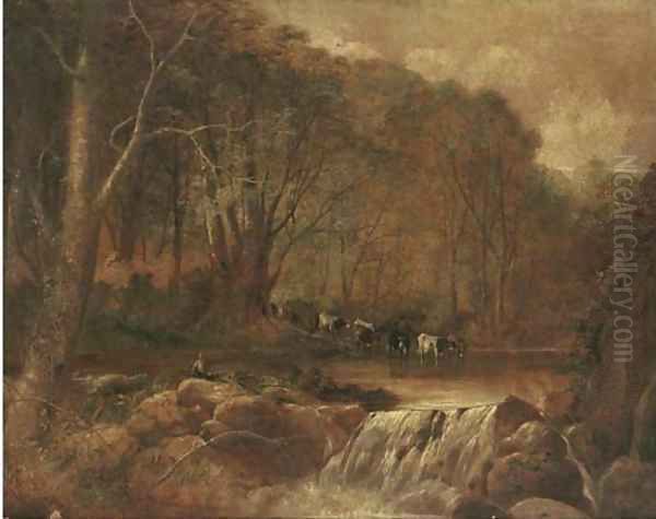 Cattle fording a river - view 1