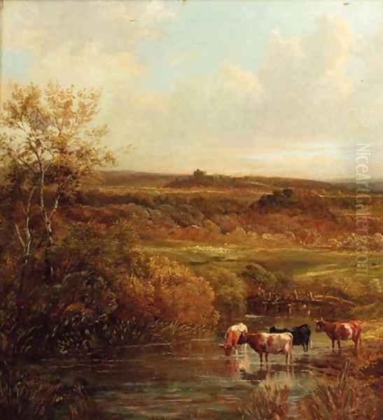 Cattle watering in an extensive landscape - view 1