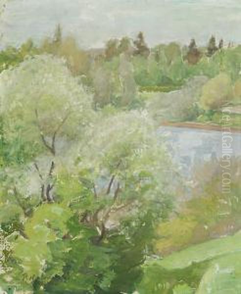 Tuomi Kukkii - view 1