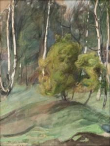 Kevatkesan Maisema by Pekka Halonen