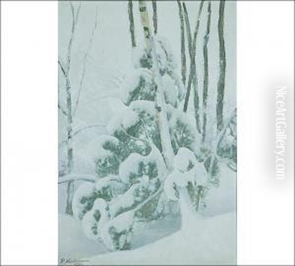 Winter - view 1