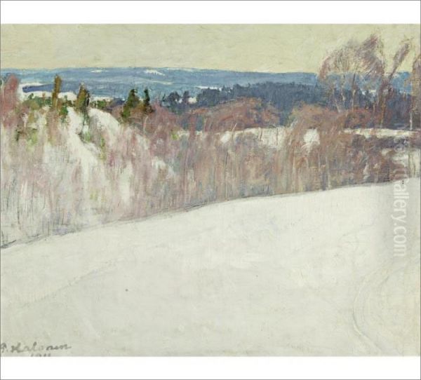 Winter - view 1