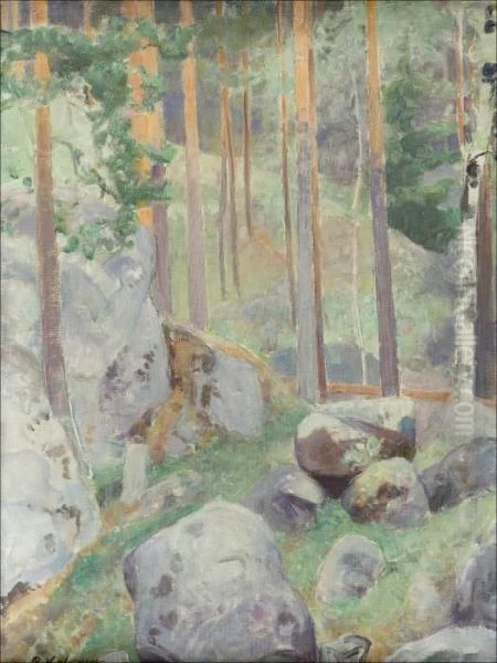 "metsainen Rinne". - view 1