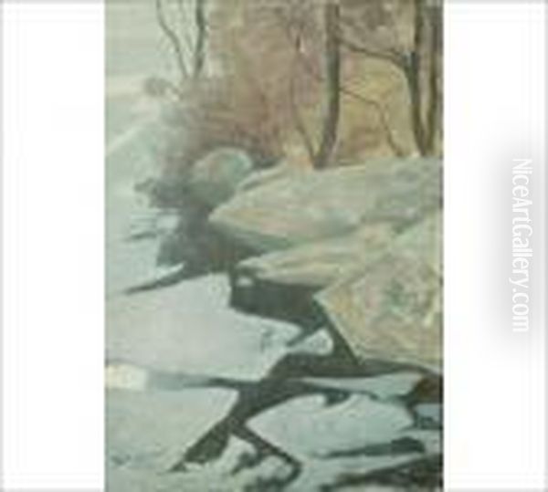 Frozen Shore - view 1
