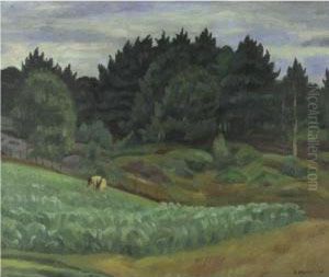 Picking Corn