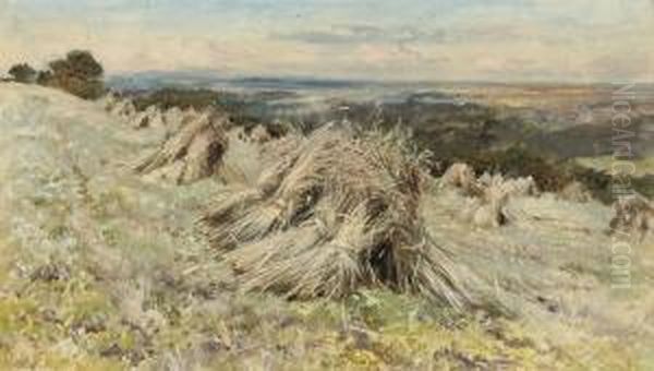 A Cornfield At Harvest - view 1