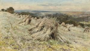 A Cornfield At Harvest by Keeley Halswelle