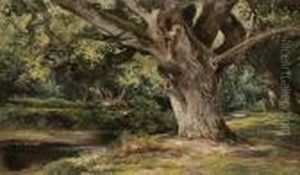 Burnham Beeches by Keeley Halswelle