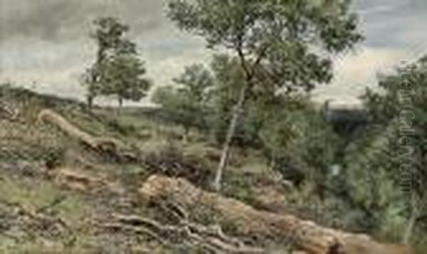 A Figure Resting In A Wooded River Valley In Gretna - view 1