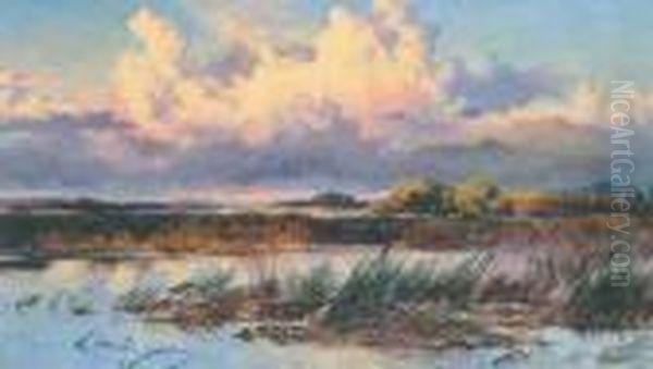 Pond With Reeds In An Extensive Landscape - view 1