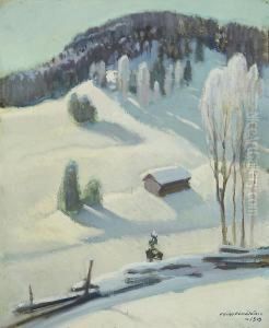 Talvi Karjalassa