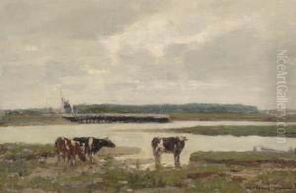 Cows By The River The Ijssel - view 1