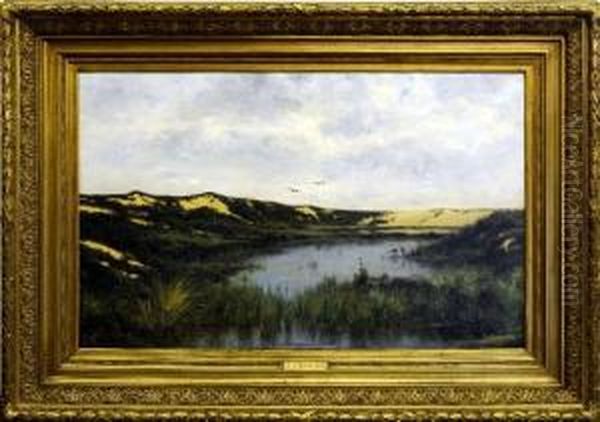 [le Zwin] - view 1