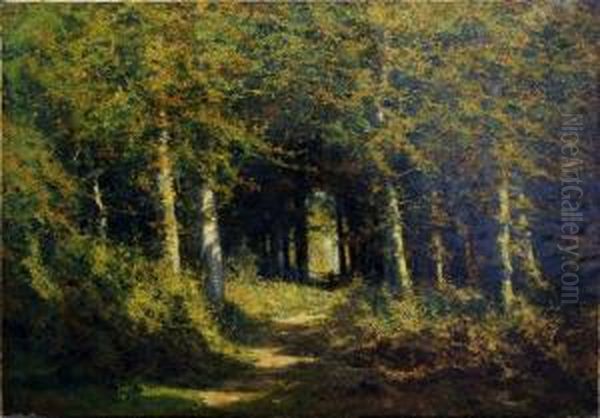 Dreve En Foret - view 1