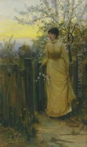 ''spring Blossoms''