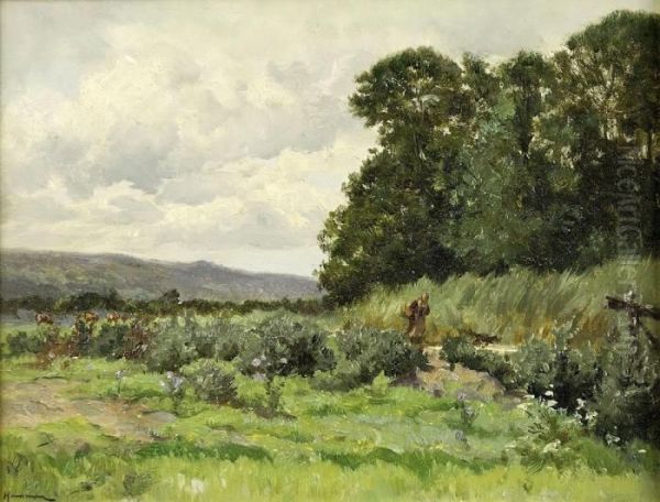 Paysage Anime - view 1