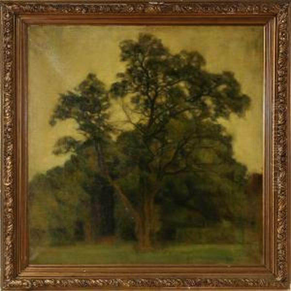 Landscape Withtrees - view 1