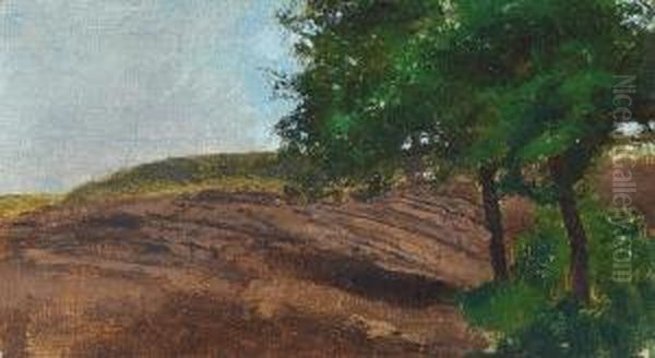 A Landscape With Fields And Trees - view 1