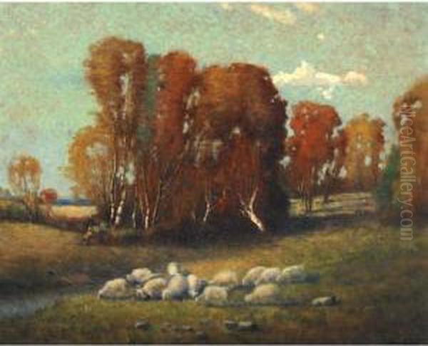 The Flock - view 1