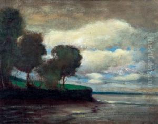 Snowdon Point, Bay Of Fundy - view 1