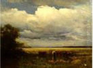 Evening Sackville Marshes