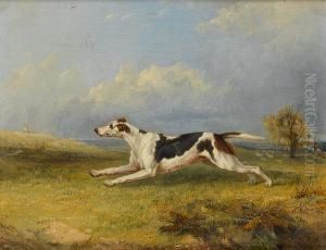 A Hound Running In A Landscape by Charles Hancock