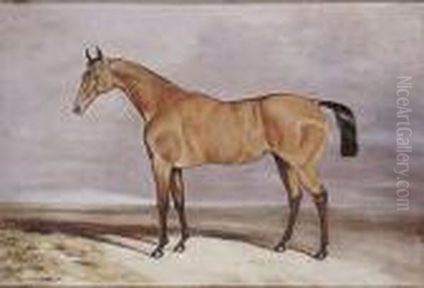 Caballo - view 1