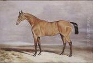 Caballo Caballo