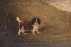 Liver And White Spaniel by Charles Hancock