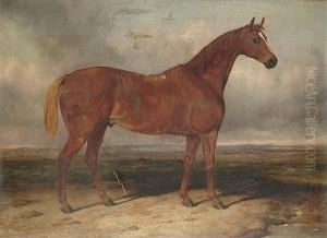 A Chesnut Hunter In A Landscape
