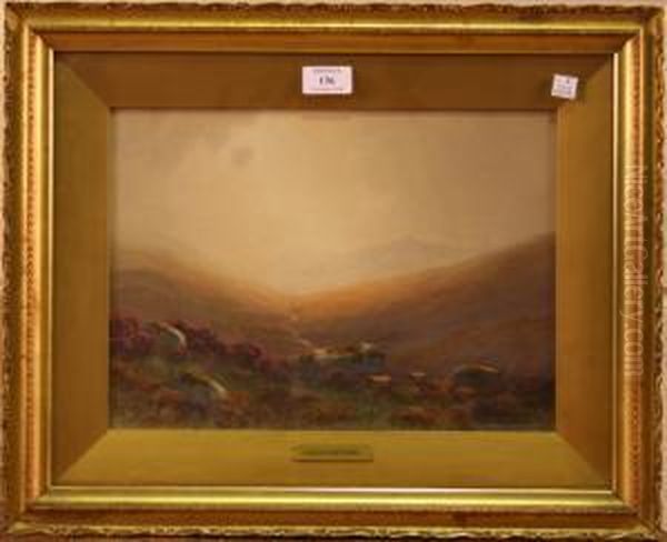 View Of Dartmoor With Sheep Amongst Rocks - view 1
