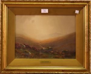 View Of Dartmoor With Sheep Amongst Rocks