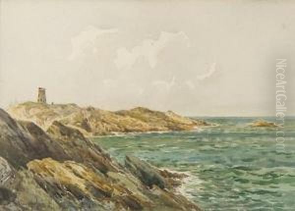 Coastal Scene, Anglesey - view 1