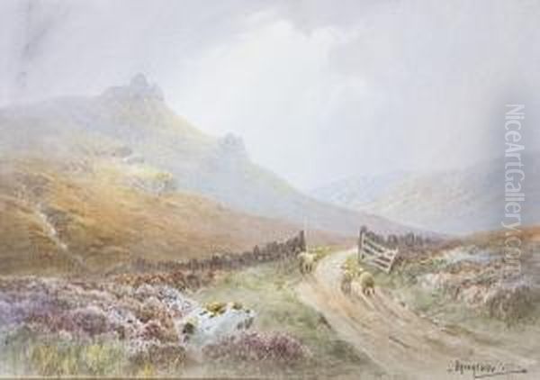 Landscape With Sheep On A Path; Fishingvessels In A Calm Sea - view 1