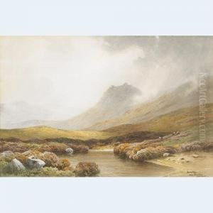 Near Princeton, Dartmoor