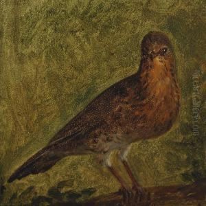 Thrush
