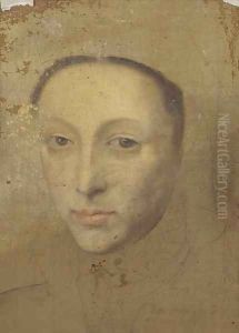 Portrait of a lady, a sketch Portrait of a lady, a sketch