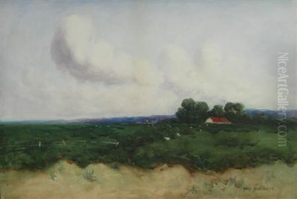 Sheep Grazing In A Meadow - view 1
