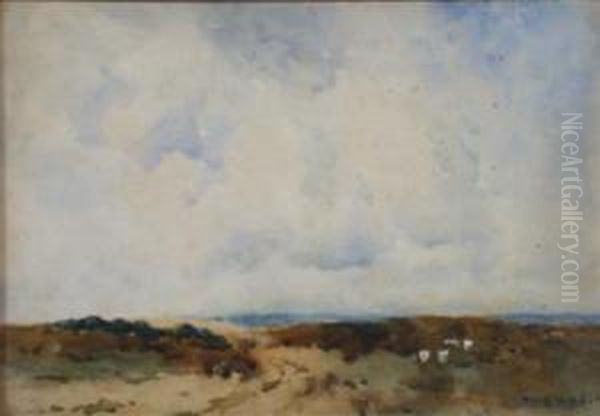 Grazing Sheep - view 1