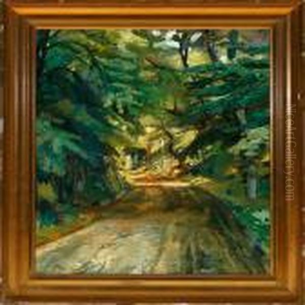 Forest Road On A Calmsummer Day - view 1
