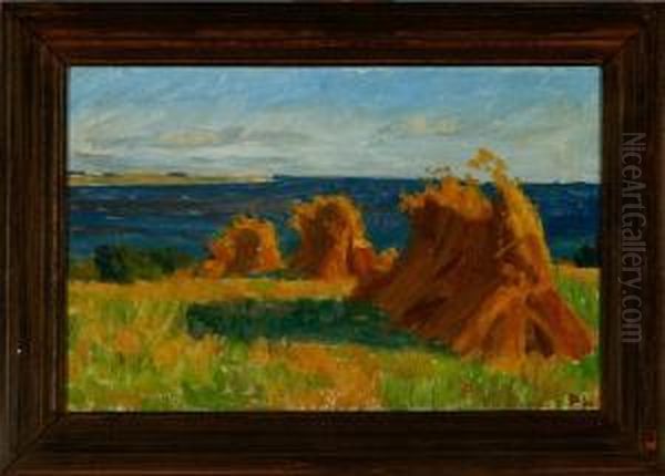 Harvest Scenery At Faaborg Inlet, Denmark - view 1