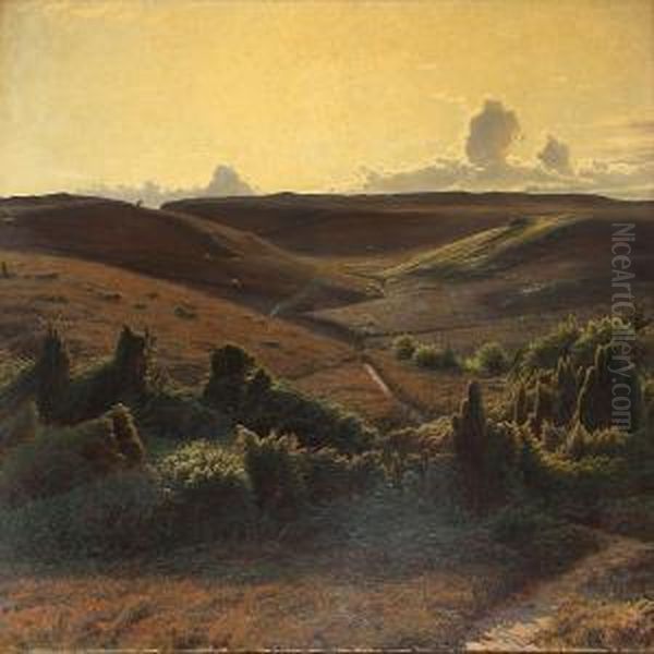 View Of A Moor Landscape In The Afternoon - view 1