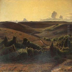 View Of A Moor Landscape In The Afternoon by Sigvard Hansen
