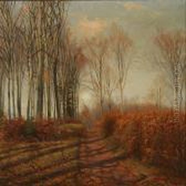 Autumn Forest Scene - view 1