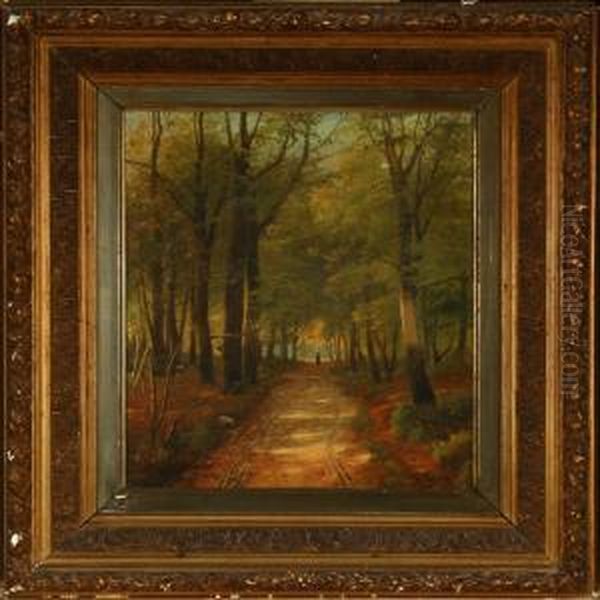 Forrest Scenery - view 1