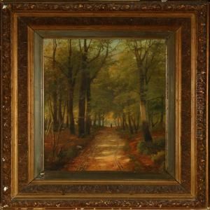 Forrest Scenery Forrest Scenery