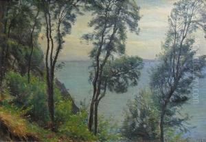 Paysage : Vue D'amalfi by Sigvard Hansen