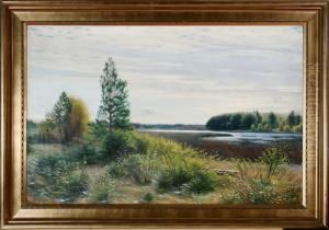 Autumn Scenery From Store 
Vildmose Bog, Denmark. Signed Sigvard Hansen. Oil On Canvas. 81 X 126 Cm by Sigvard Hansen