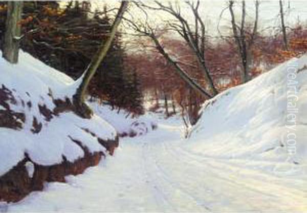 Snedaekket Vej (snowy Path In The Early Evening) - view 1